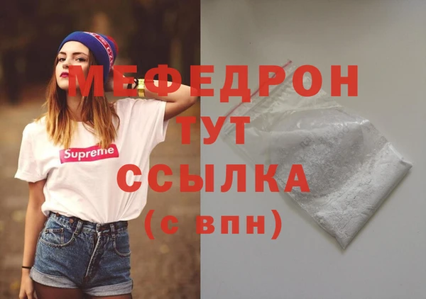 дживик Няндома