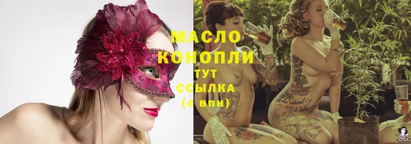 дживик Няндома