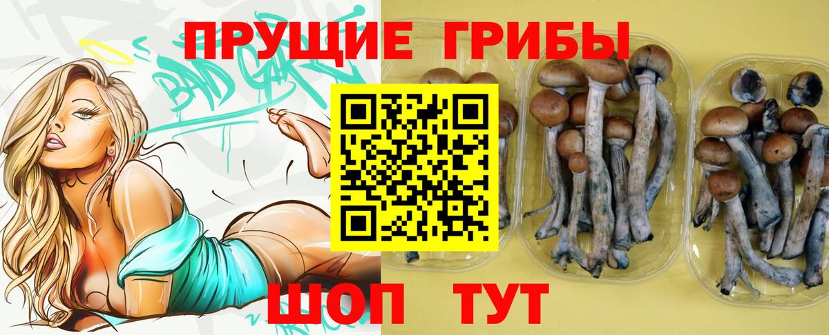 Лысьва  Галлюциногенные грибы мицелий  Вход с VPN 